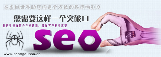 成都seo外包服務(wù)